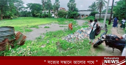 পাথরঘাটায় সরকারি জমি ভরাটে চলছে মহা উৎসব