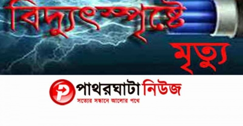 মঠবাড়িয়ায় বিদ্যুৎস্পৃষ্টে শ্রমিকের মৃত্যু