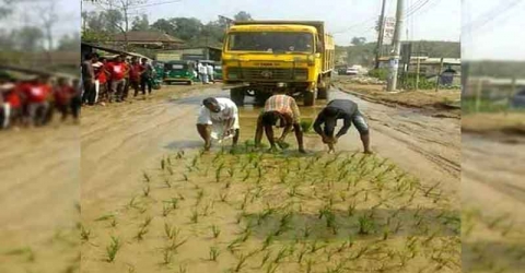 ওস্তাদ ব্রেক সামনে ধান ক্ষেত!