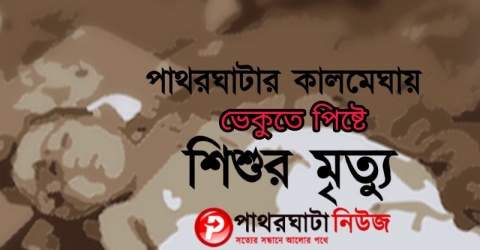 পাথরঘাটায় ১৩মাসের শিশু ভেকুতে পিষ্ট হয়ে মর্মান্তিক মৃত্যু