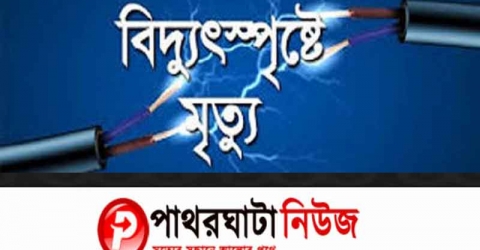 আলীপুরে বিদ্যুৎস্পৃষ্ট হয়ে মা ছেলের মৃত্যু