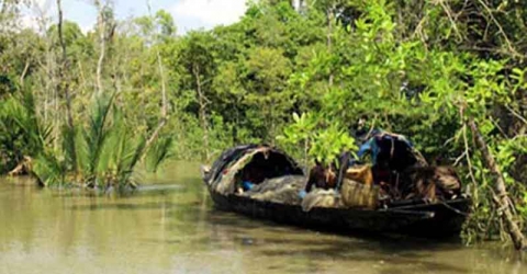 সুন্দরবন থেকে ৪ জেলে অপহরণ