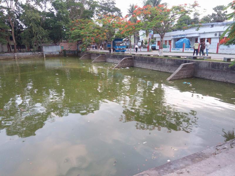 পাথরঘাটা পৌরসভা সংলগ্ন পুকুর যেন ঢাকার বুড়িগঙ্গা-৪