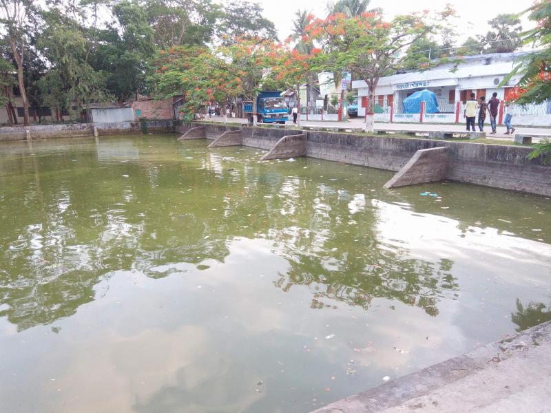 পাথরঘাটা পৌরসভা সংলগ্ন পুকুর যেন ঢাকার বুড়িগঙ্গা।