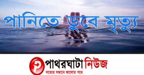 পুকুরে ডুবে দুই সহোদরের মৃত্যু