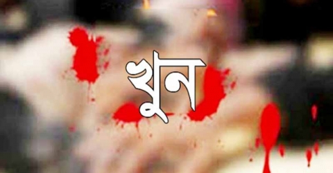 নেছরাবা‌দে চাচাতো ভাইয়ের হাতে ভাই খুন