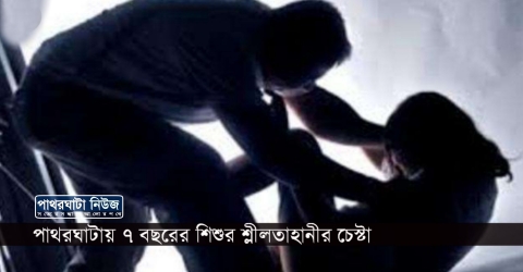 পাথরঘাটায় ৭ বছরের শিশুর শ্লীলতাহানীর চেস্টা