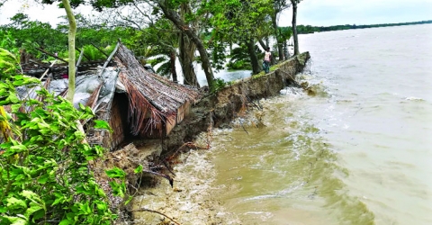 পাথরঘাটাসহ বরগুনায় ১৮ কিলোমিটার বেড়িবাঁধ ঝুঁকিপূর্ণ