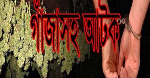 কলাপাড়ায় গাঁজাসহ ব্যবসায়ী আটক