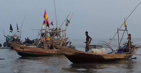 বাংলাদেশের জলসীমায় ইলিশ শিকারে ভারতীয় জেলেরা(ভিডিও)