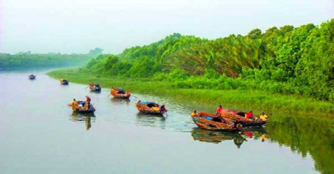 সুন্দরবনের খালে আজ থেকে দুই মাস মাছ ধরা নিষিদ্ধ