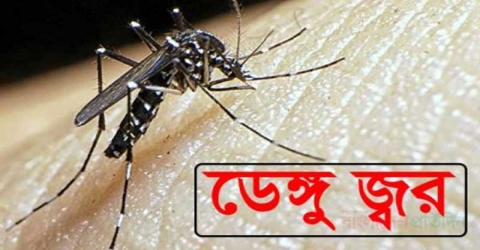 খুলনায় ভয়ংকর রুপ নিচ্ছে ডেঙ্গু