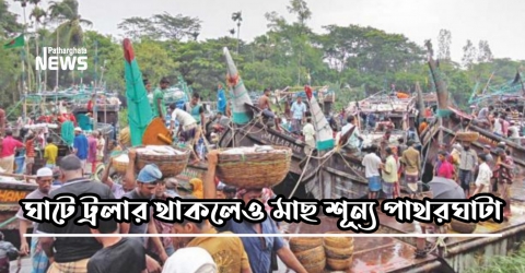 মাছ শূন্য পাথরঘাটা বি এফ ডিসি মৎস্য অবতরণ কেন্দ্র ( নেই কর্ম চঞ্চলতা