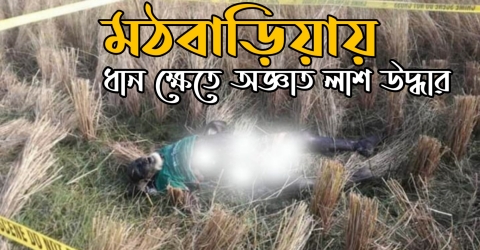 মঠবাড়িয়ায় ধান ক্ষেত থেকে অজ্ঞাত ব্যক্তির অর্ধ গলিত লাশ উদ্ধার