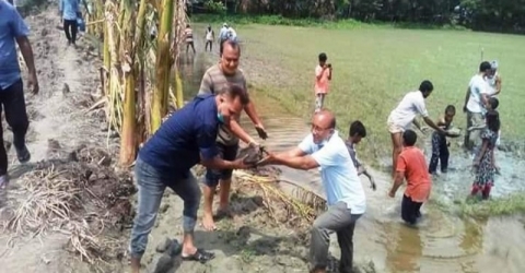 কাঁঠালিয়া ঘূর্ণিঝড়ে ক্ষতিগ্রস্ত বিশখালি নদীর বেড়িবাঁধ স্বেচ্ছাশ্রমে মেরামত