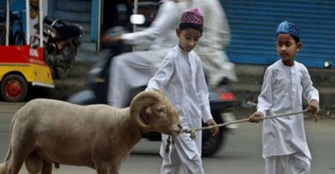 কার উপর কুরবানী ওয়াজিব?