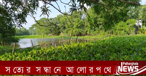 ব্রিজ না করে বাঁশের সাঁকো, সংস্কারে ব্যায় ৯ কোটি টাকা