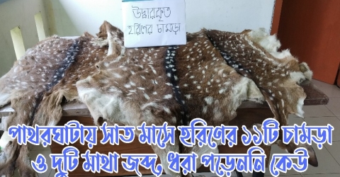 পাথরঘাটায় সাত মাসে হরিণের ১১টি চামড়া ও দুটি মাথা জব্দ, ধরা পড়েননি কেউ