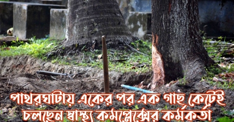 পাথরঘাটায় একের পর এক গাছ কেটেই চলছেন স্বাস্থ্য কমপ্লেক্সের কর্মকর্তা