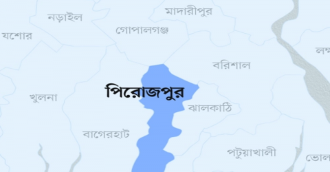 মঠবাড়িয়ায় ছেলেদের অবহেলায় মায়ের মানবেতর জীবন