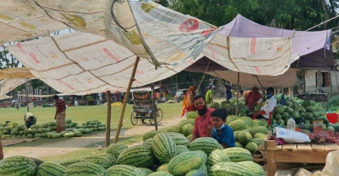 পাথরঘাটায়  তরমুজের গায়ে আগুন  বাজার মনিটরিং এর দাবি সাধারণ মানুষের